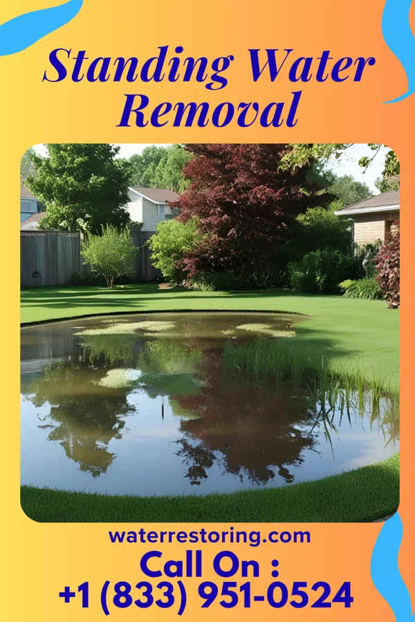 Standing Water Removal in Buckhead, GA